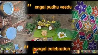Pudhu veetil pongal celebration 🎊🎉