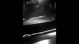 shakey G performance