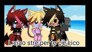 qui parte la ship✨speciale 31✨ strecico ❤️💖