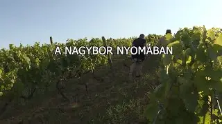 A NAGYBOR NYOM&Aacute;BAN - Kultfilm 11