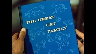 The Great Cat Family