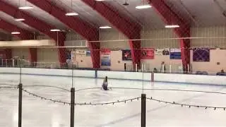 Senior Solo Free Dance Test