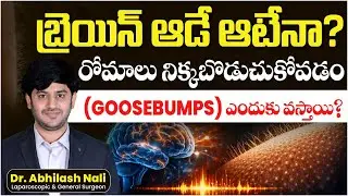 Why the Body Reacts With Goosebumps | Brain Science Explained in Telugu | Dr Abhilash Nali