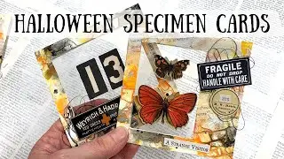 Halloween Specimen Cards | Made from a cereal box