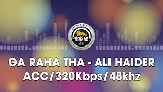 Ga Raha Tha - Ali Haider