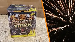 Nico - Golden Tiger Batterie | Sch&ouml;n!
