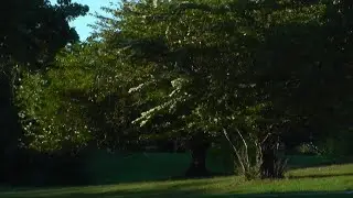 Druid Hill | August 23rd 2025 | Panasonic HC-V700M
