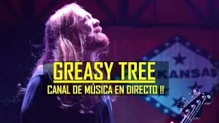 🎸🔥 Greasy Tree - 01/17 She Wild & 02/17 Trouble With Trouble - La Iguana  Club 2018 (Vigo, Spain)