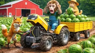 Monkey & Fat Cat: The Wild Chase for Justice, Watermelon Thief and a Smoothie of Friendship