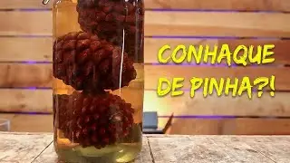 Esse experimento de destilação com pinha me surpreendeu!