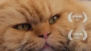 CORTOMETRAJE | Compromiso  (HD)