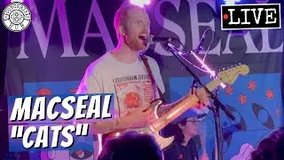 Macseal 