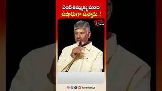 CM Chandrababu Naidu Fun Moments With Fans at Telugu Diaspora Meet in Dubai | #shorts