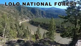 Lolo National Forest