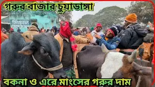 #এরে বকনা গোস্তের গরুর দাম #ডুগডুগি হাট #চুয়াডাঙ্গা #cowpriceinbangladesh 