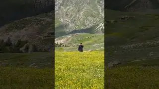 Луг Чукайла