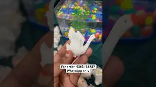 Fish tank toys 🧸 #shortsfeed #fish #fishtank #shortsvideo