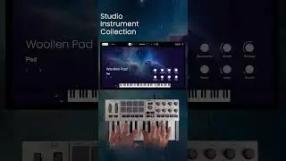 MPK Mini IV | Коллекция студийных инструментов: плагин, виртуальные пресеты инструментов