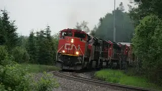 CN 8951 leads CN 305 & CN 2305 leads CN 306 on the Pelletier Subdivision 7/1/23