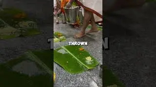 Traditional Indian Food Serving 🍛 (🎥 : shwetha_bhide - VIA IG) #shorts