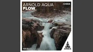 Flow I