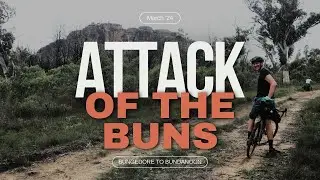 Attack of the Buns, Australian bikepacking route (Bungedore to Bundanoon NSW)