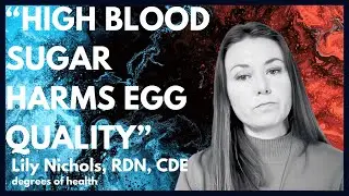 Lily Nichols, RDN, CDE | The Fertility Factors: Blood Sugar, Protein, and Nutrient Density