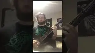 more slammies