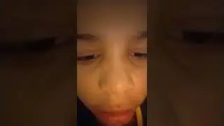 my dog died