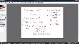 Optimal Labor Usage: Marginal Revenue Product = Wage