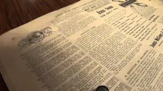 Devoted Dogs From 1893