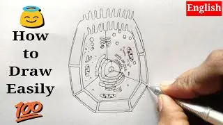 How to Draw Animal Cell ! @MyGuruji