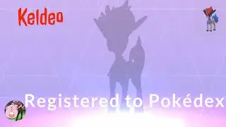 Keldeo: Something Extraordinary Encounter | Pok&eacute;mon Go