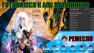 Black Desert обновление ремесла для новичков качаем сбор