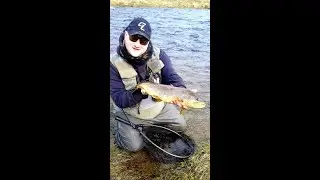 Big river Clyde Brown Trout 5lb