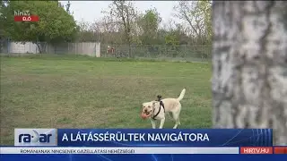 Radar - A l&aacute;t&aacute;ss&eacute;r&uuml;ltek navig&aacute;tora (2022-04-27) - H&Iacute;R TV