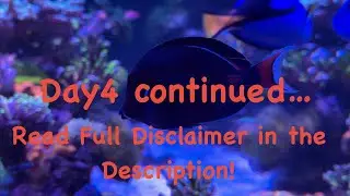 Day4(pt2) In Tank Treatment Post Activities!