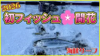 【北海道海峡サーフ2026】知内エリア&下海岸エリア：今季初フィッシングでサクラ開花！