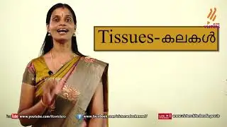 KITE VICTERS STD 8 Biology Class 4 (First Bell-ഫസ്റ്റ് ബെല്‍)