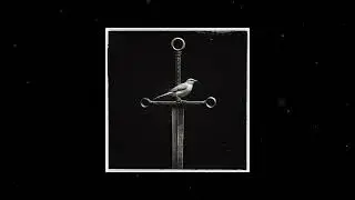 Daomi &mdash; Смутьян