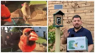 DIY Post Mount for the SOLIOM BF08 Bird Feeder Cam | Setup + First Bird Visitors!