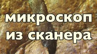 Макрофото через старый сканер