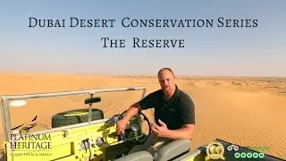 Dubai Desert Conservation Series - Conservation Reserve | Platinum Heritage 2017