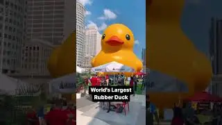 The World&rsquo;s Largest Rubber Duck