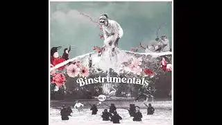 The Bins - Got (Instrumental)