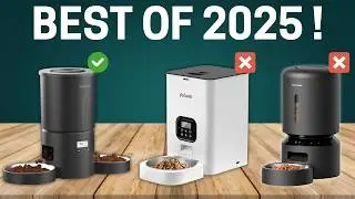 Top 6 Best Automatic Cat Feeders of 2025 🐾 | Smart Feeding Solutions
