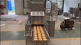 WYRB-300 model nuggets machine, patty making machine #pattymachine