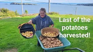 Final Potato Harvest 🥔. All in for 2025 season!