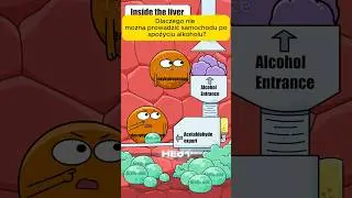 Dlaczego nie można prowadzić samochodu po spożyciu alkoholu?#shorts