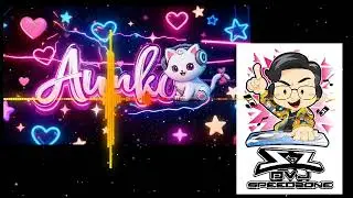 Dj Speedzone x Dj Aunko Vinabounce Yearmix